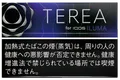 TEREA Black Purple Menthol