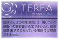 TEREA Purple Menthol