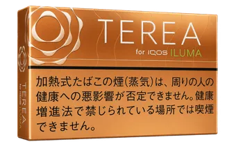 TEREA Warm Regular — ยาสูบโทนไม้และถั่ว